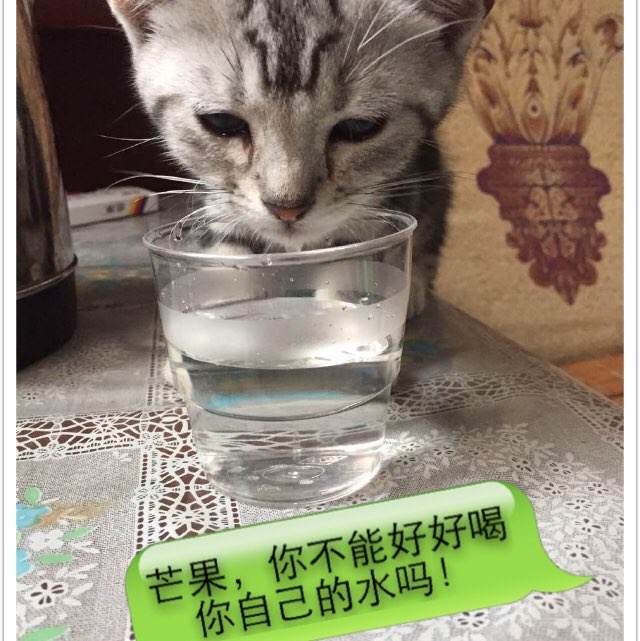 购买假费罗姆学院文凭毕业证